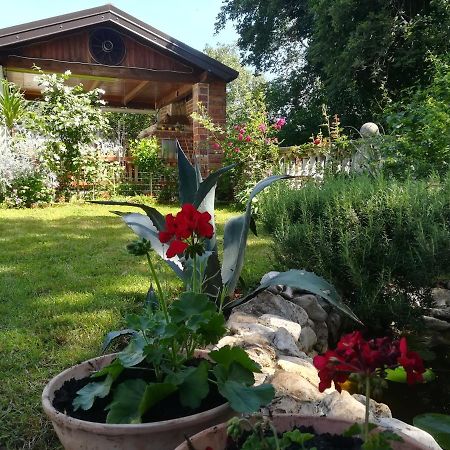 Apartment Cajt Umag Buitenkant foto